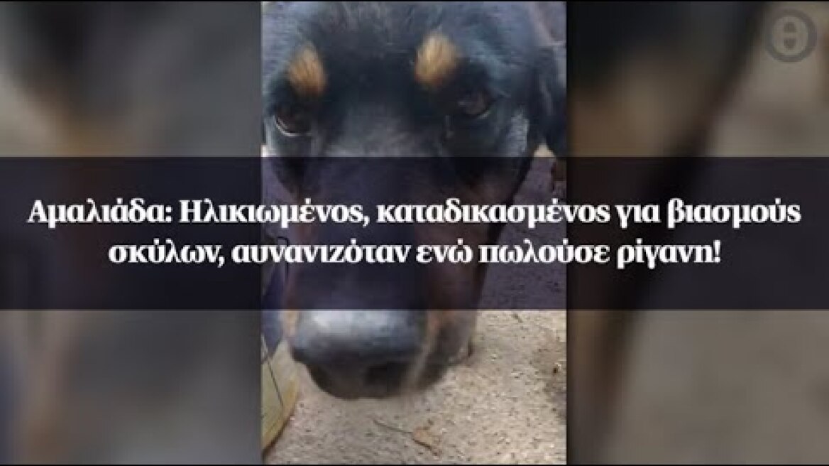 Αμαλιάδα: Ηλικιωμένος, καταδικασμένος για βιασμούς σκύλων, αυνανιζόταν ενώ πωλούσε ρίγανη!