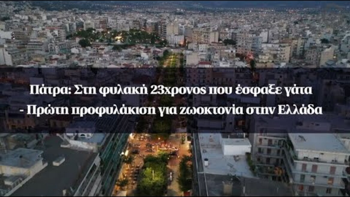 Πάτρα: Στη φυλακή 23χρονος που έσφαξε γάτα - Πρώτη προφυλάκιση για ζωοκτονία στην Ελλάδα