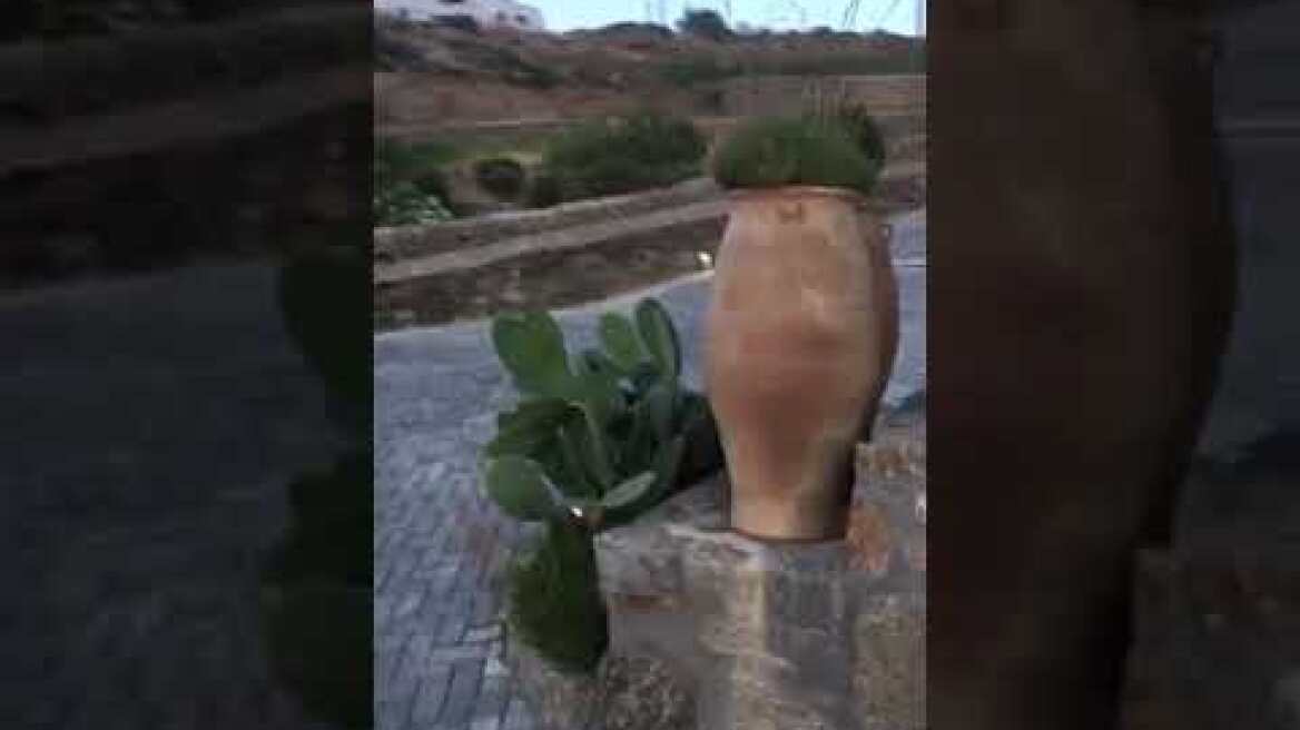 Οι χρυσες μπριζόλες του Salt Bae έφτασαν στη Μύκονο1