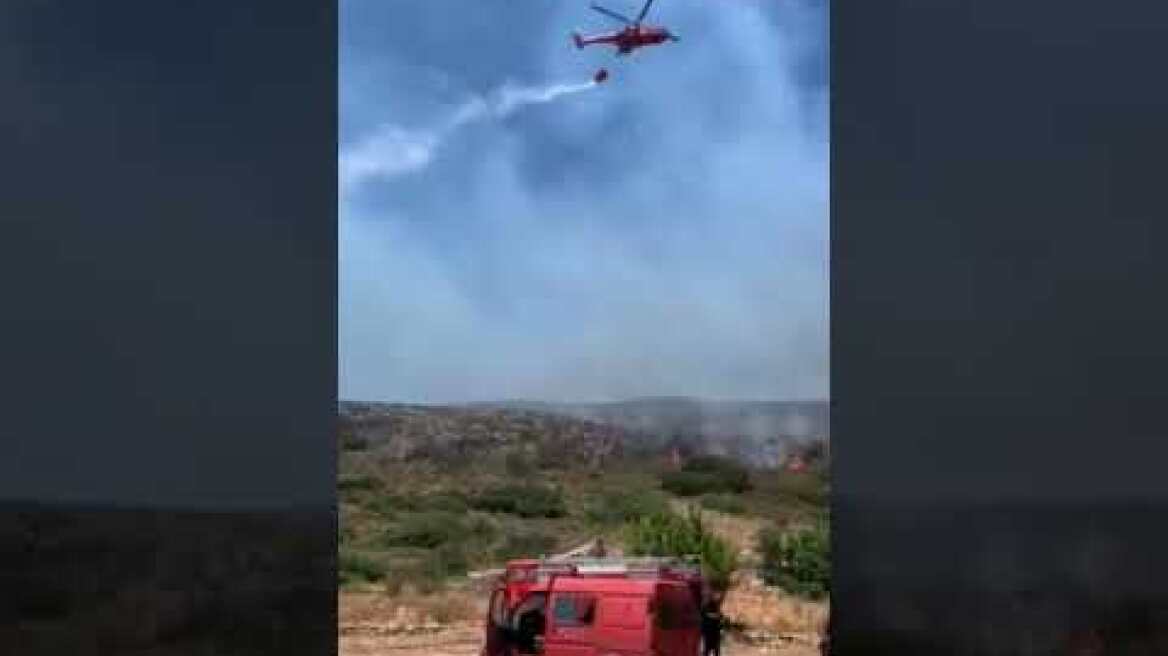 Φωτιά Ελαφόνησος