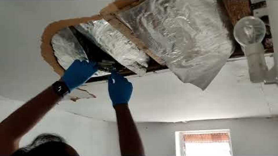 Διακρίβωση κυκλώματος διακίνησης μεταναστών από Τουρκία στην Ελλάδα και σε άλλες Ευρωπαϊκές χώρες