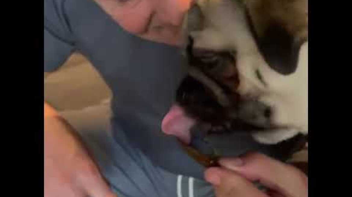 Ο Πάνος Καμμένος ταΐζει μύδια το σκυλάκι του