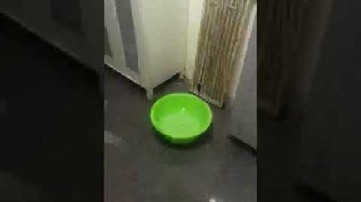 Βίντεο αλλοδαπών