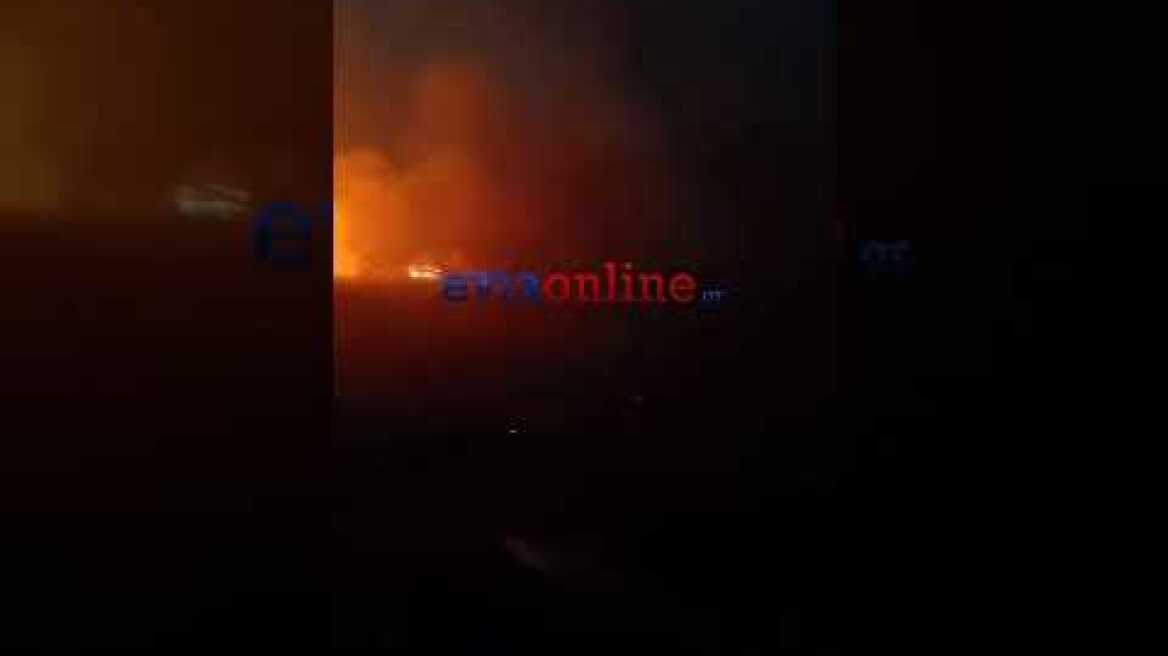 Κάρυστος - Πρινιά Φωτιά 2