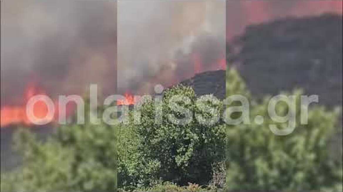 Μαίνεται η πυρκαγιά στην περιοχή της Αγιάς, στη Λάρισα