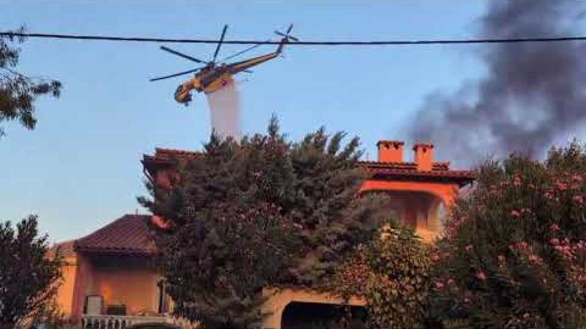 Φωτιά στο Κρυονέρι (12)