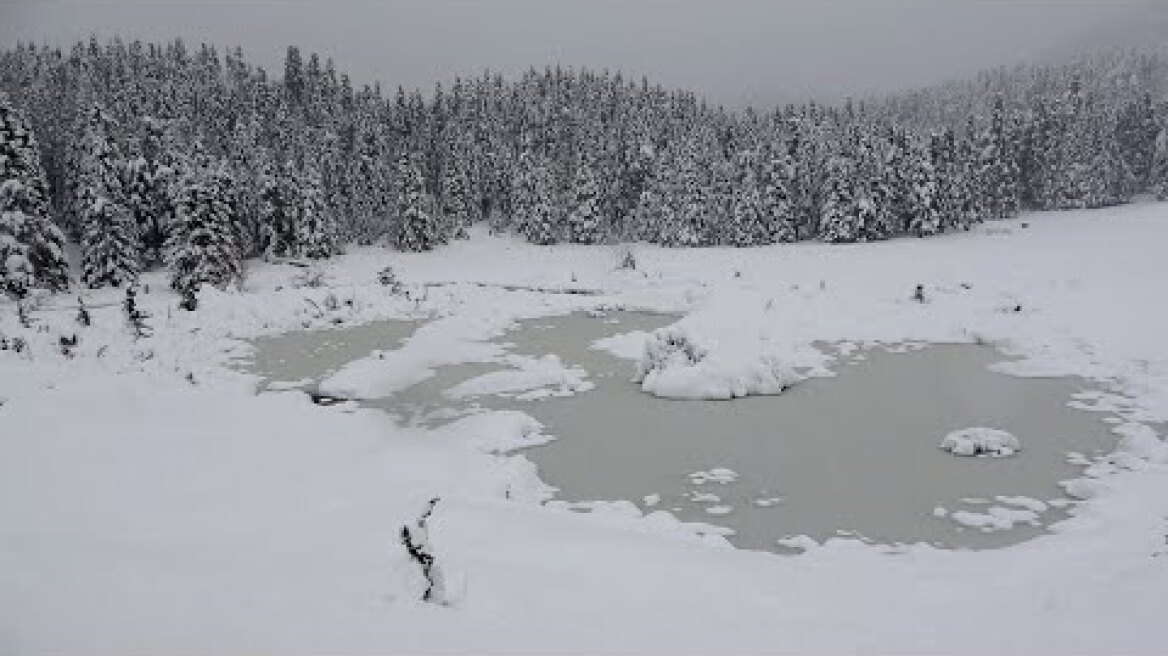 Χιονόπτωση σφοδρή χιονοδρομικό κέντρο Περτουλίου Τρικάλων χιόνι μέρες Κορονοϊός Κυριακή 5-4-2020