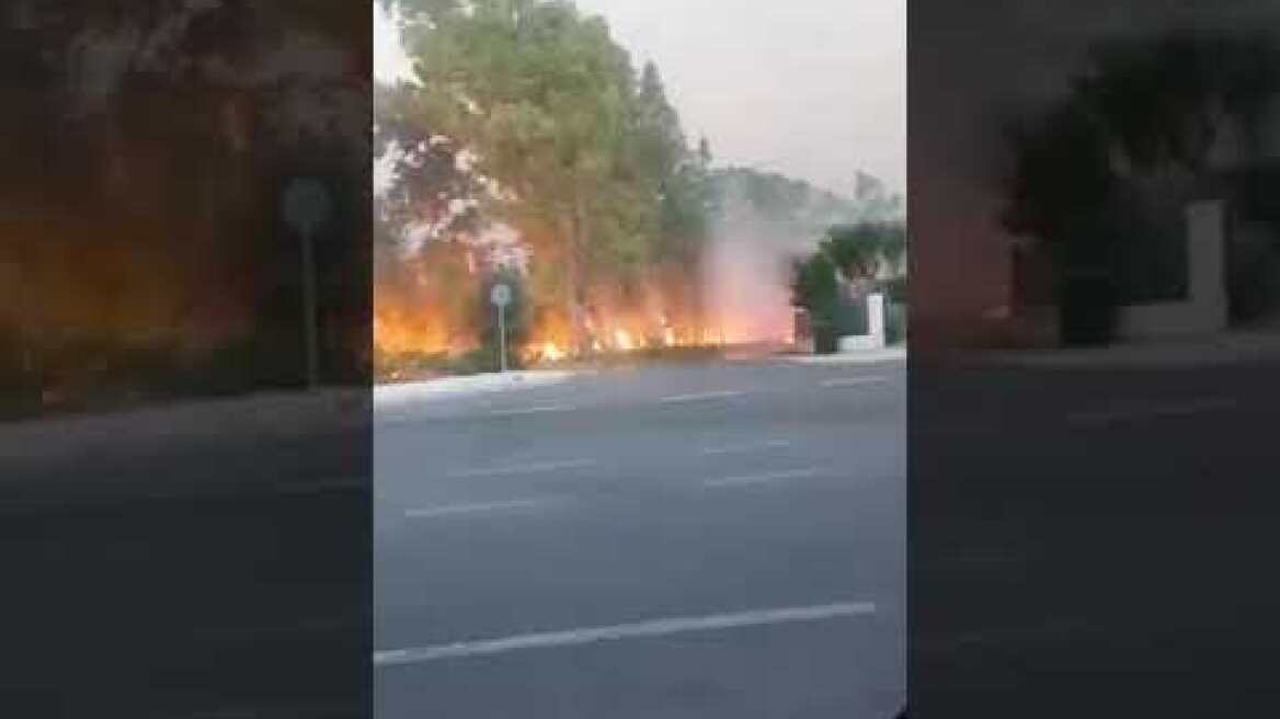 Παλλήνη φωτιά