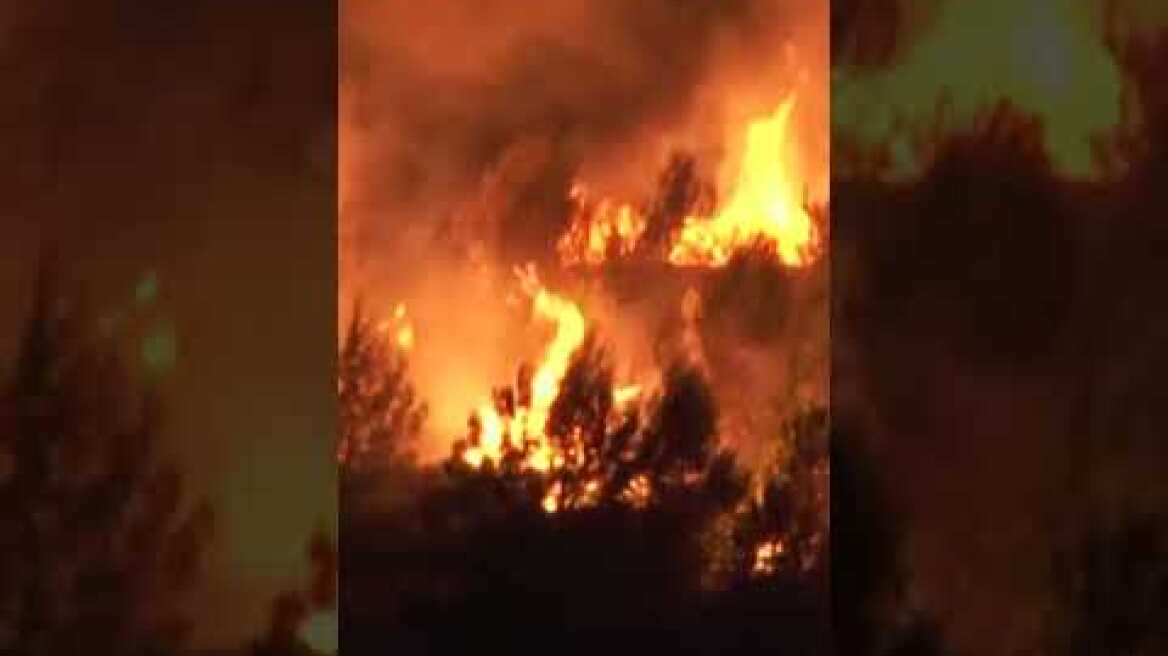 Firefighters battle several wildfires fanned by strong winds along France's Mediterranean coast