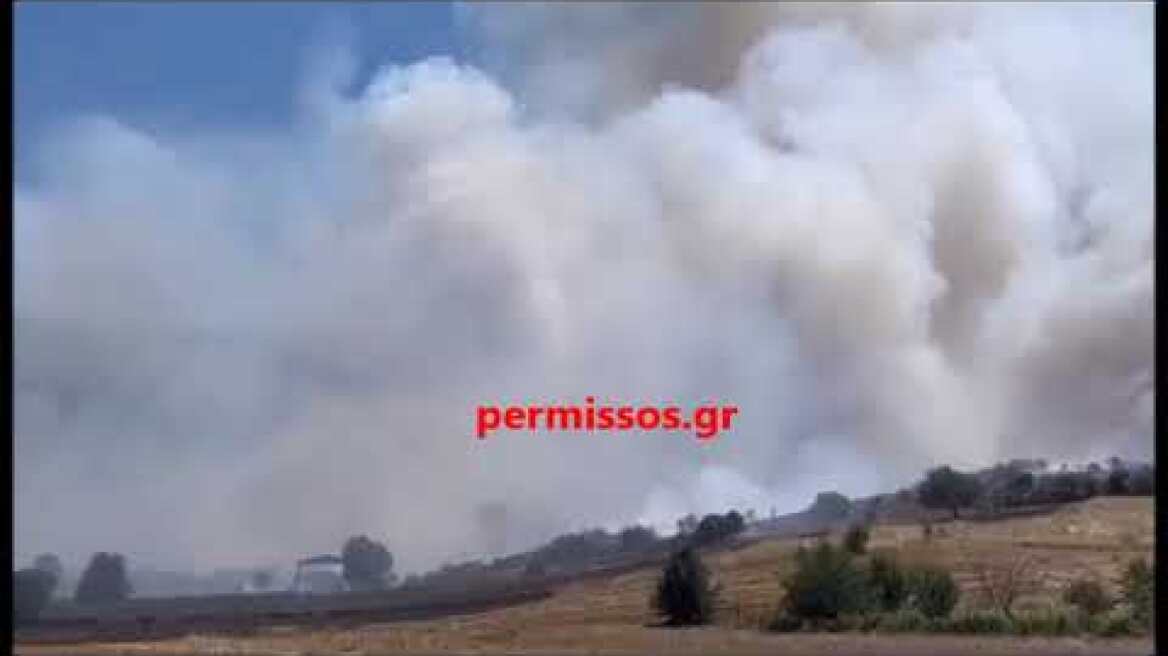 Φωτιά στο Καπαρέλλι