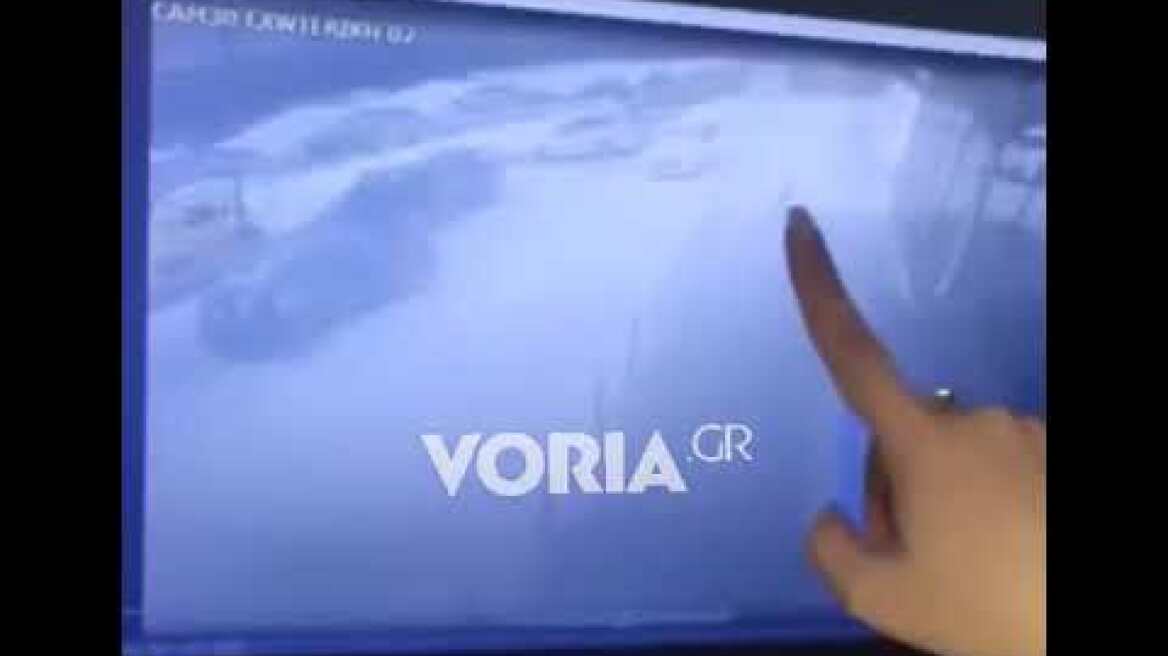 Βίντεο από την παράσυρση και εγκατάλειψη σκύλου στην Πυλαία