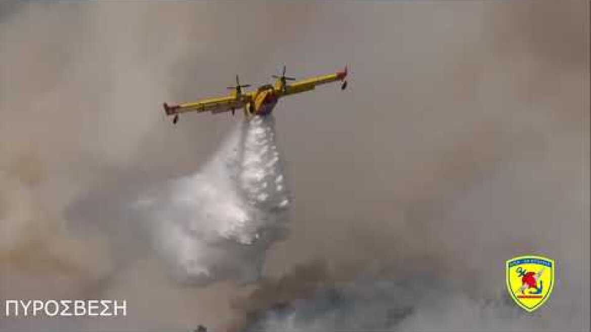 Οι Ένοπλες Δυνάμεις συνδράμουν στην αντιμετώπιση των δασικών πυρκαγιών