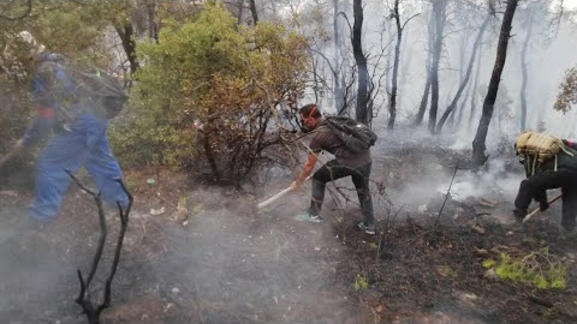 Οι δυνάμεις του ΚΚΕ στη μάχη της κατάσβεσης στην Οινόη