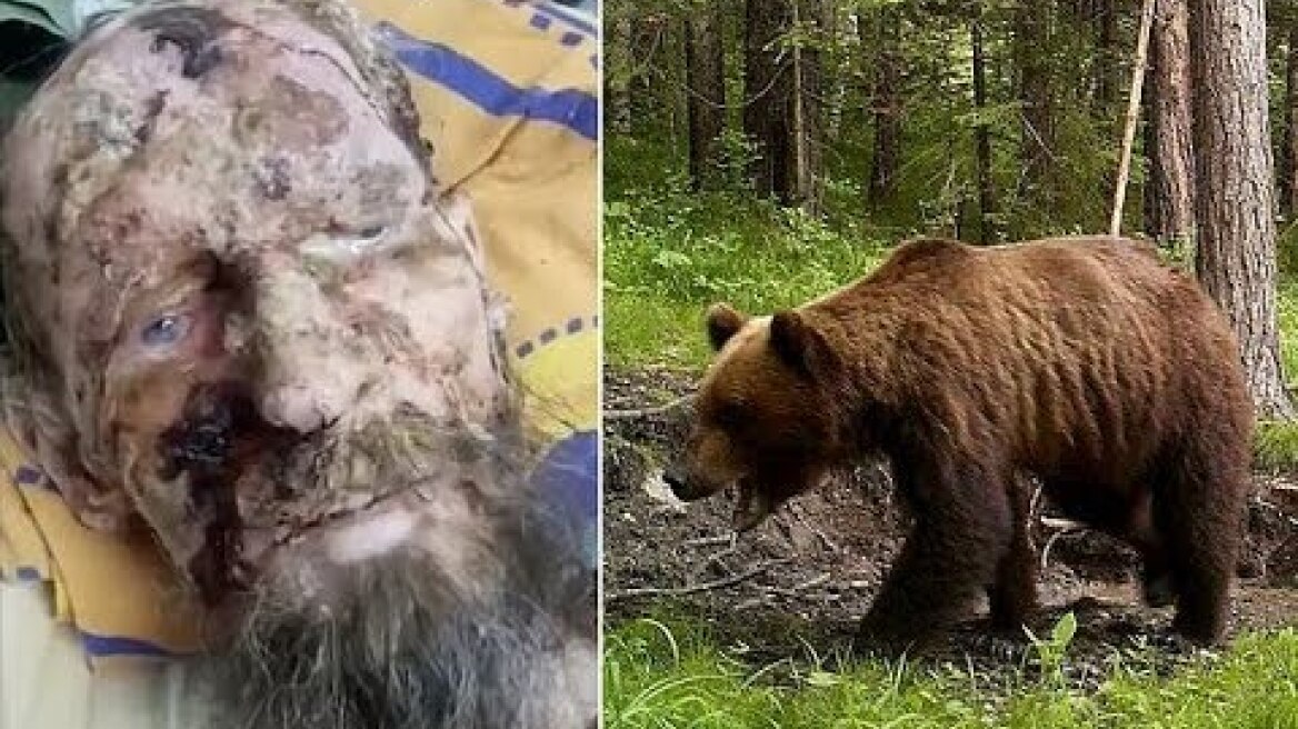 Man who was close to death is rescued from bear den after one month