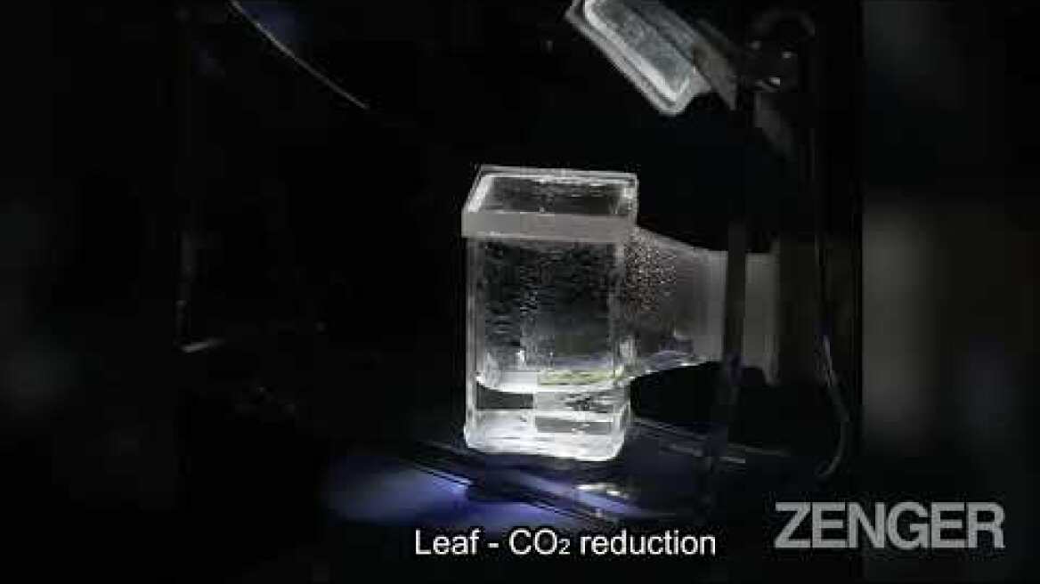 Miniature Artificial Leaves May Soon Produce Fuel For Ocean Ships