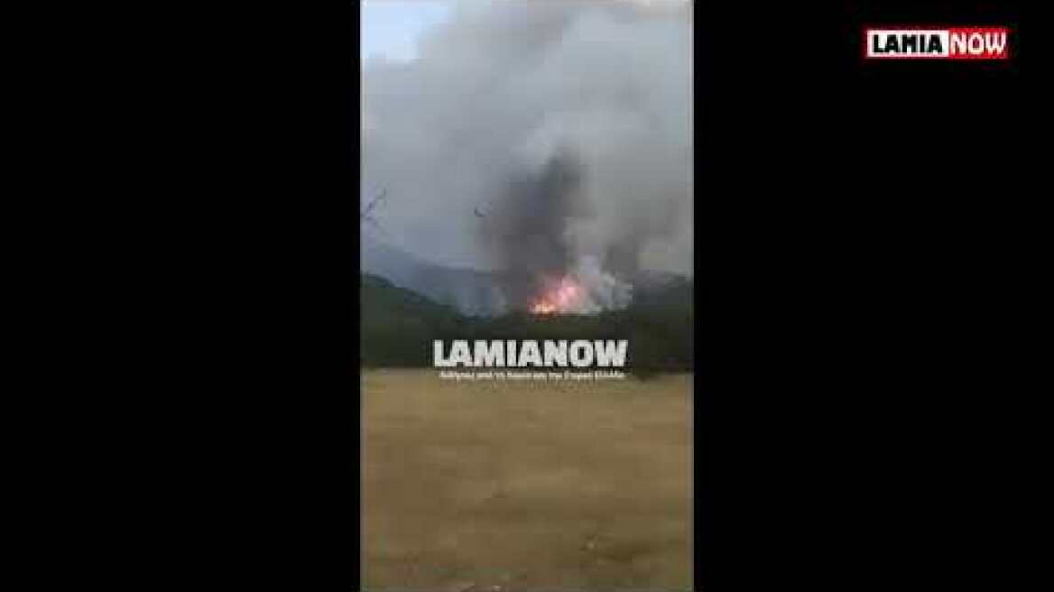 Φωτιά στο Λογγίτσι