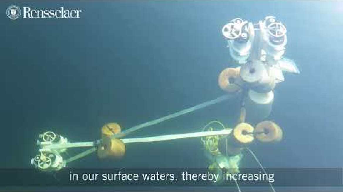 World’s Lakes Losing Oxygen Rapidly as Planet Warms