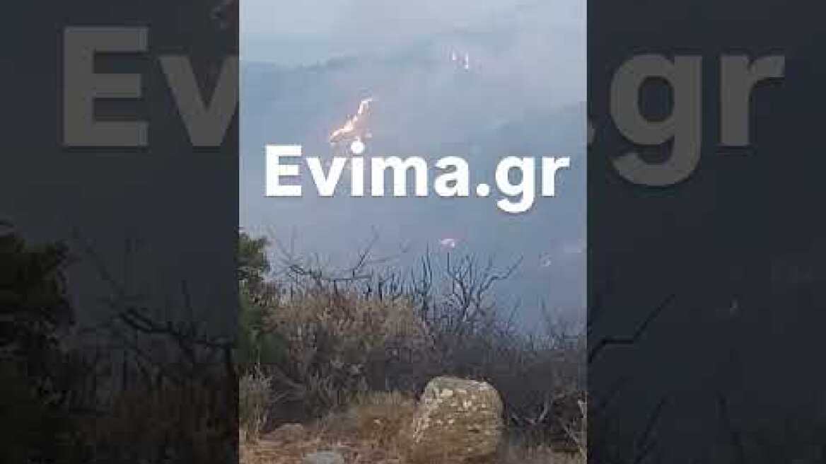 Επιχειρούν εναέρια μέσα στη φωτιά στα Μεσοχώρια της Εύβοιας: Νέο μήνυμα του 112 για εκκένωση του Λιμνιώνα, κοντά σε σπίτια οι φλόγες Δύσκολη νύχτα στην Εύβοια