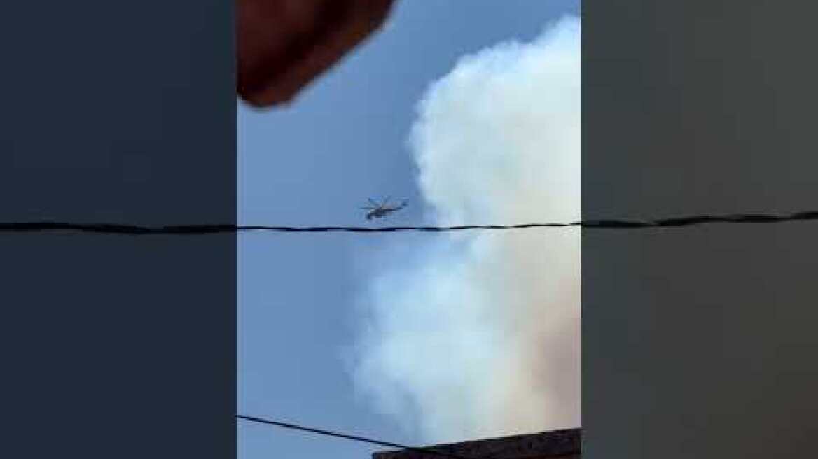 Φωτιά στη Νεμέα