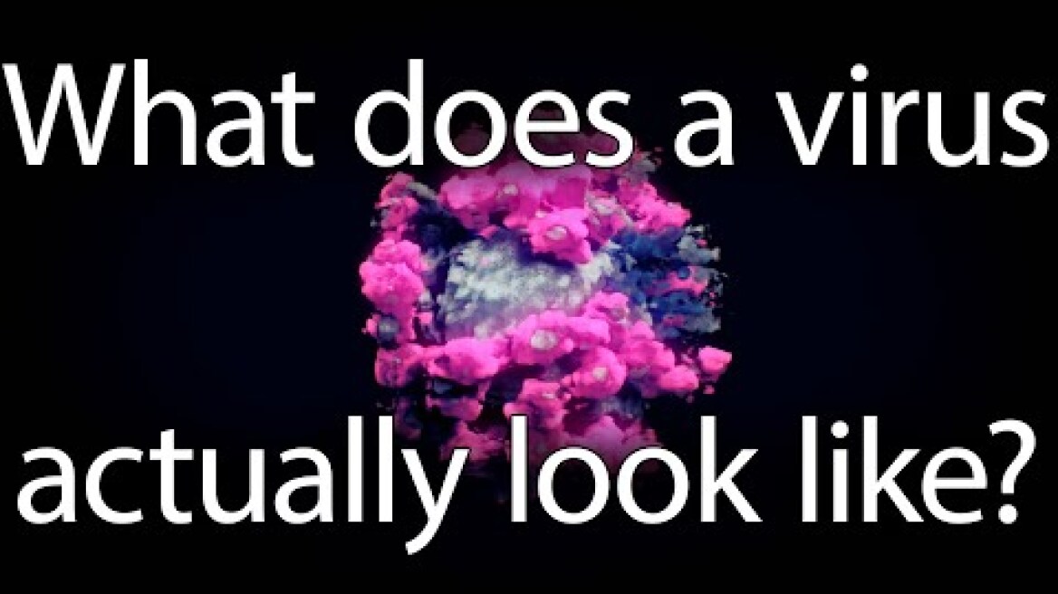 What does a virus actually look like?