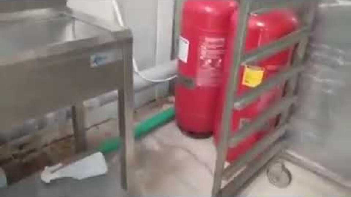 Ποντίκι στην κουζίνα του ΑΠΘ