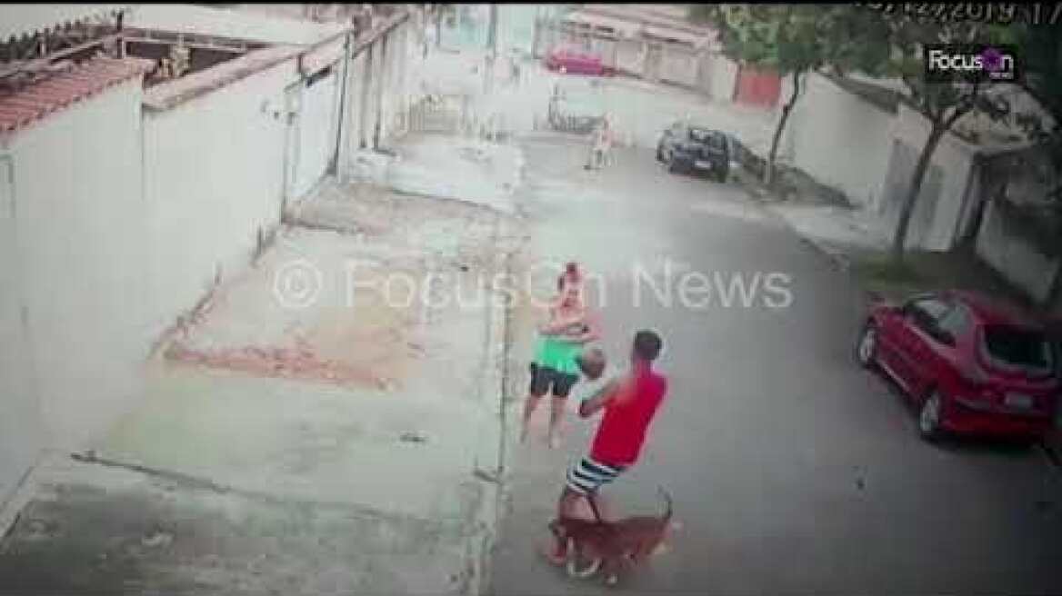 FocusOn News   Heroic moment man saves boy from pitbull attack