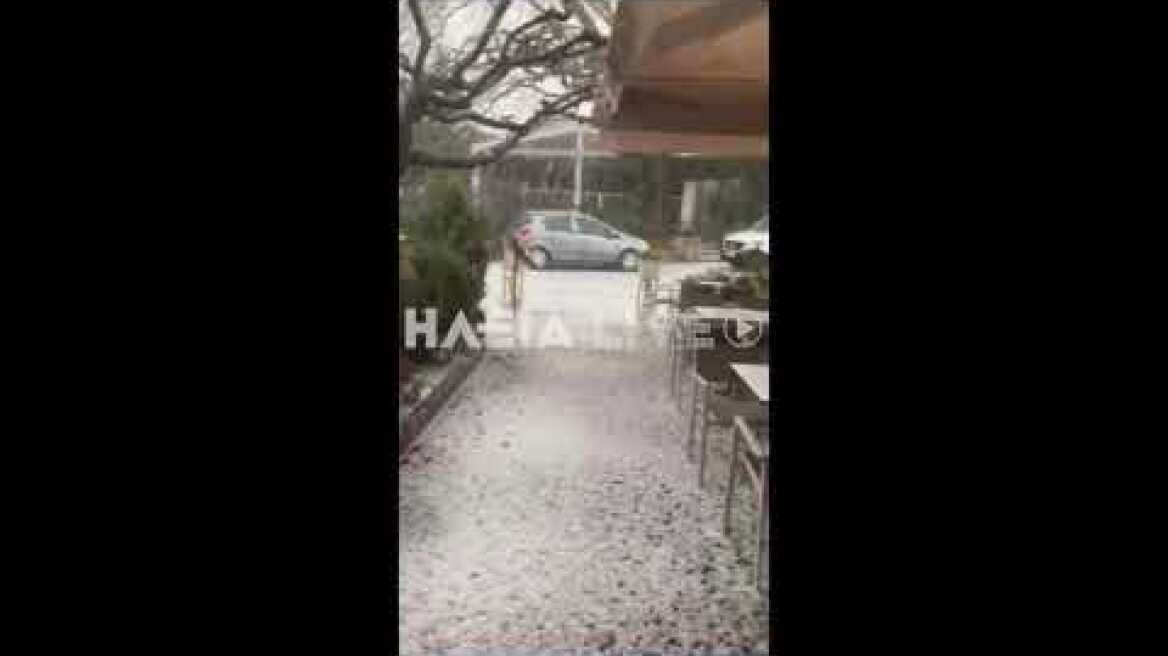 ilialive.gr - Σφοδρή χαλαζόπτωση στην Αρχαία Ολυμπία