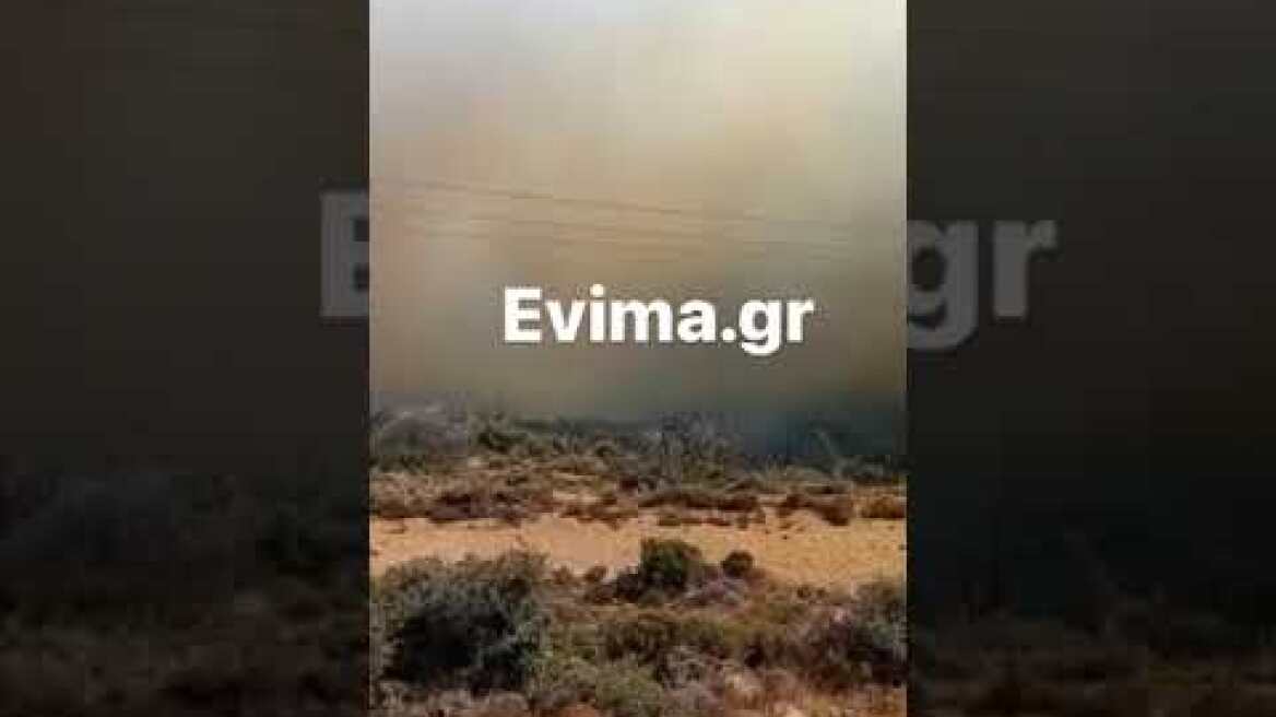 Μεγάλη φωτιά στην Κάρυστο Ευβοίας