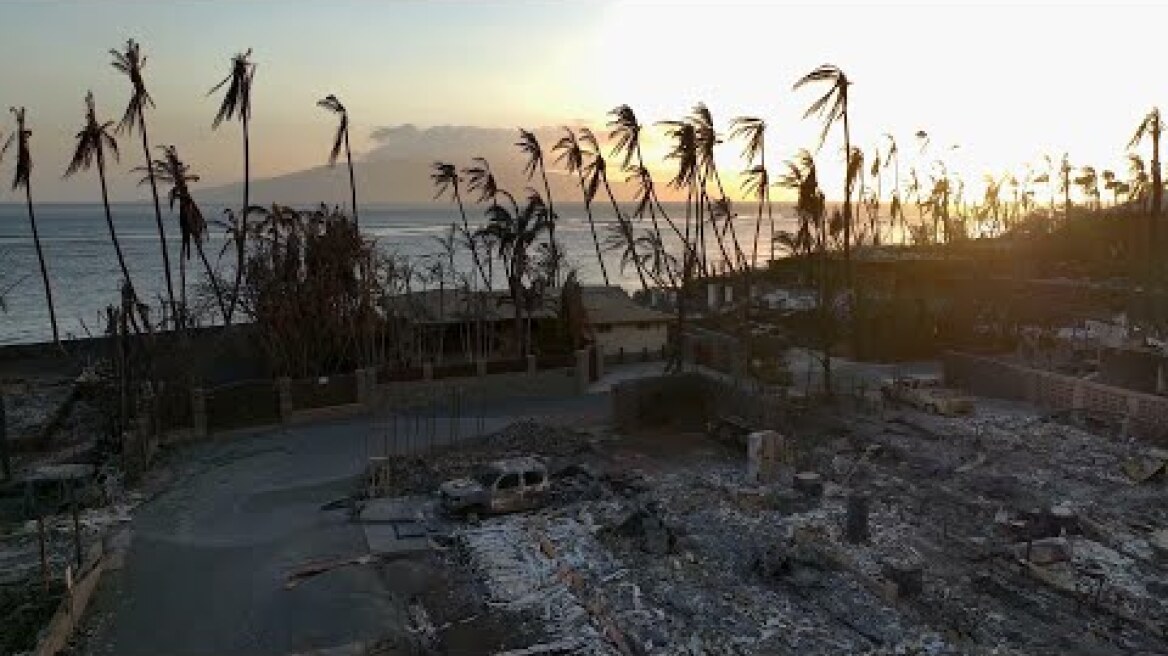 At least 80 dead in Hawaii fires, officials say