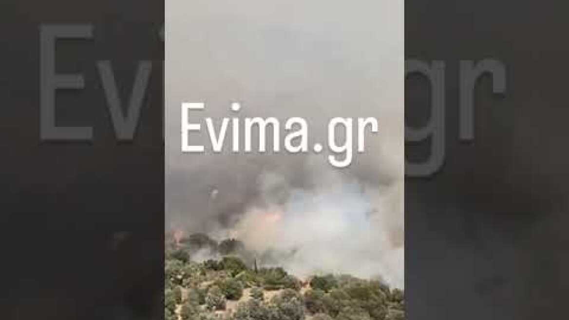 Κάρυστος: Η φωτιά μπήκε στο χωριό Πλατανιστός