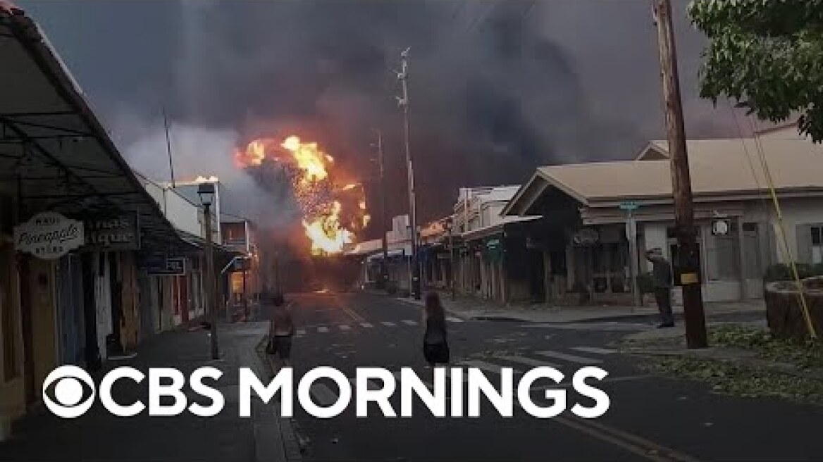 Homes, businesses destroyed as fatal fires devastate the Hawaiian island of Maui