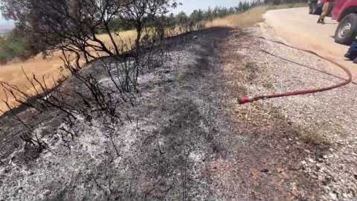 Πυρκαγιά στη Νέα Ζίχνη (18/06/2024- μέρος Β)