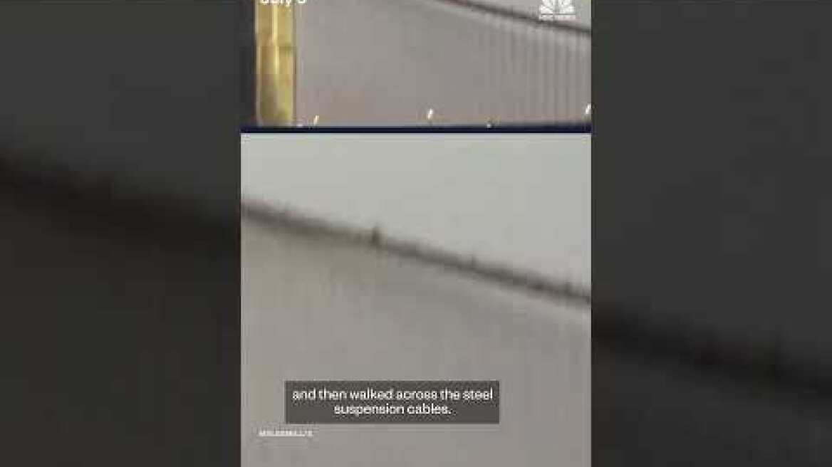 Man climbs the Brooklyn Bridge and walks along the suspension cables