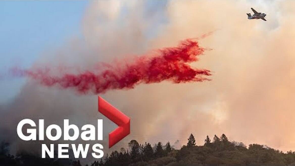 California wildfires: Aerial footage shows destructive path of new Glass fire in Napa County