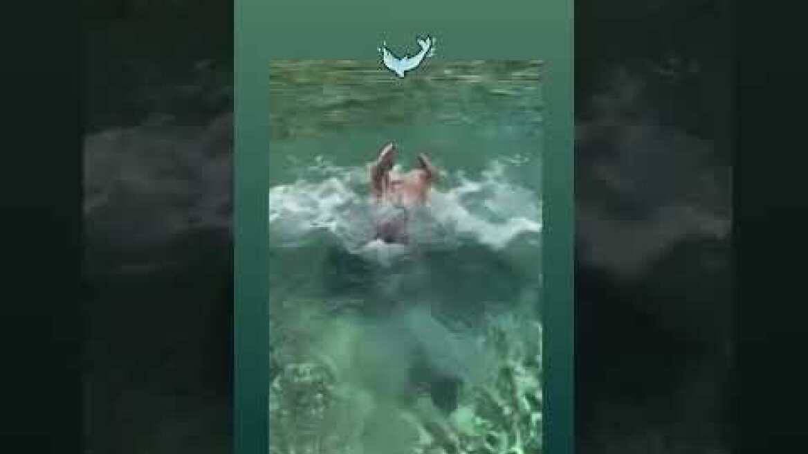 Η Δανάη Μπάρκα στη θάλασσα