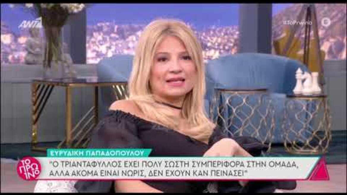 Ευρυδίκη Παπαδοπούλου: "Χαίρομαι που πήγε ο Τριαντάφυλλος στο Survivor γιατί θα ήταν άνεργος"