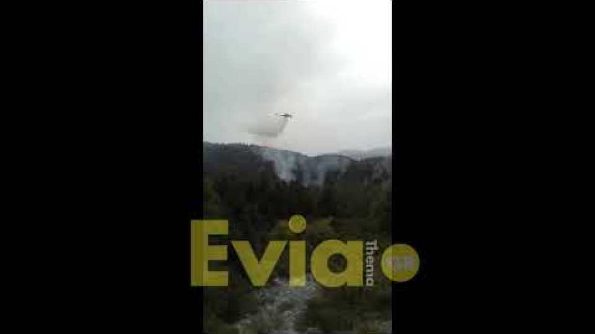 Eviathema.gr - Φωτιά στον Παγόντα Ευβοίας