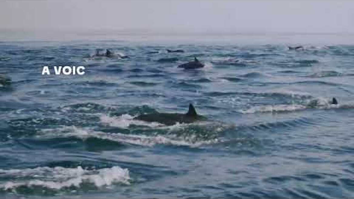 Greece Talks 2025: Το συνέδριο για τον ελληνικό τουρισμό στην εποχή της Τεχνητής Νοημοσύνης