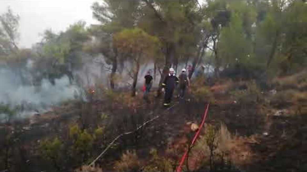 Οινόη:Οι δυνάμεις του ΚΚΕ στη μάχη της κατάσβεσης  της φωτιάς