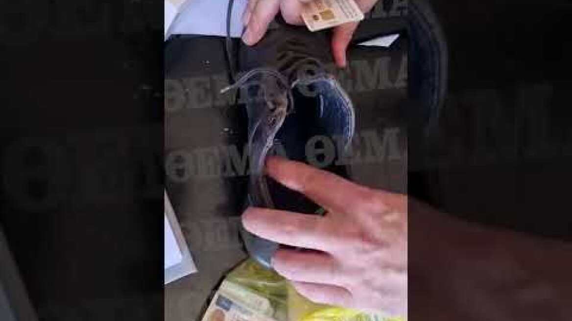 Κύκλωμα δουλεμπόρων: Έκρυβαν τα χρήματα στα παπούτσια τους!