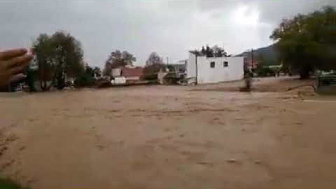 HALKIDIKINEWS - Ολυμπιάδα