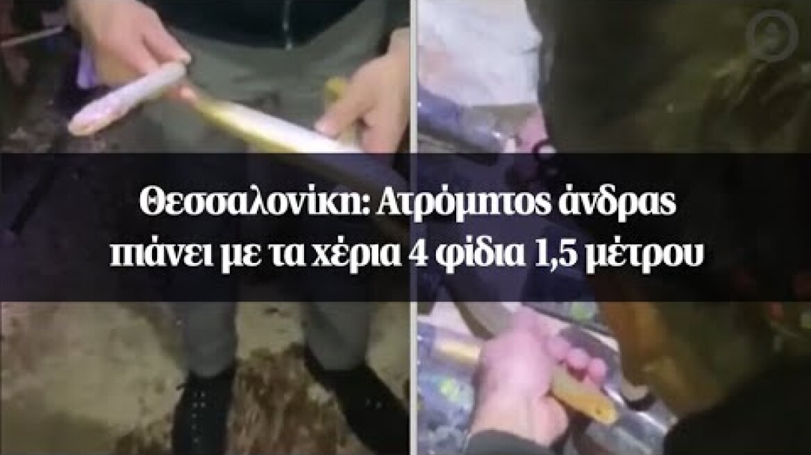 Θεσσαλονίκη: Ατρόμητος άνδρας πιάνει με τα χέρια 4 φίδια 1,5 μέτρου