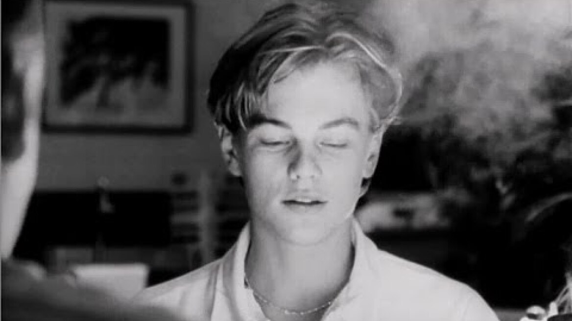 Leonardo Dicaprio Don's Plum