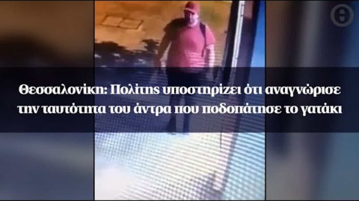 Θεσσαλονίκη: Πολίτης υποστηρίζει ότι αναγνώρισε την ταυτότητα του άντρα που ποδοπάτησε το γατάκι