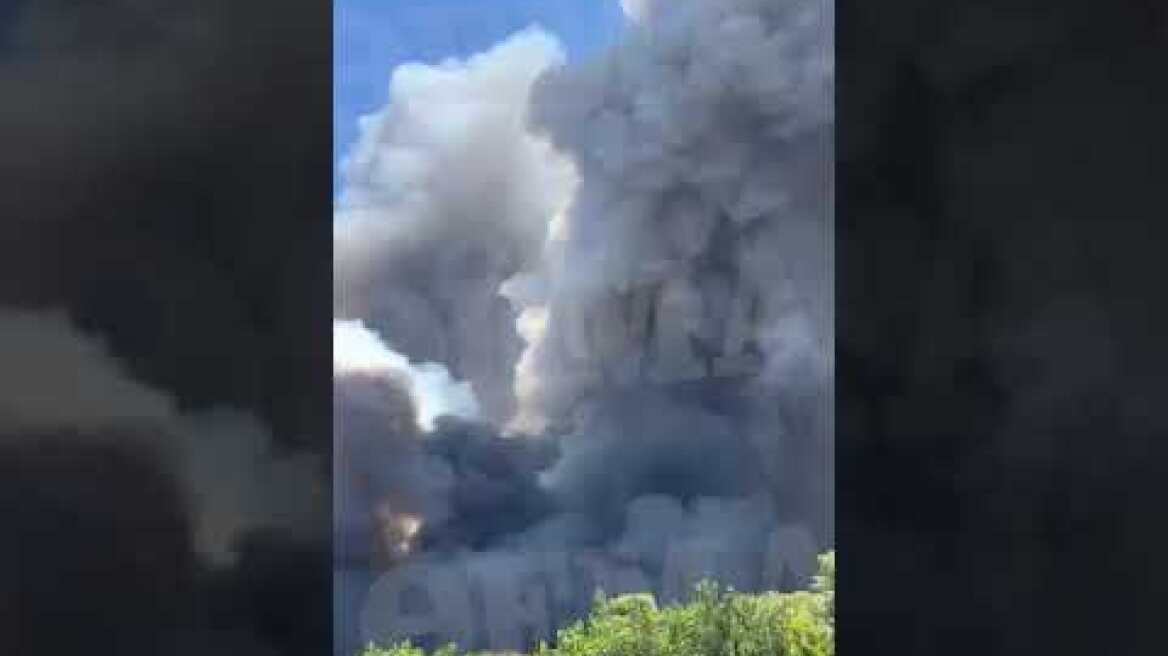 Φωτιά σε δασική έκταση στο Λουτράκι 2
