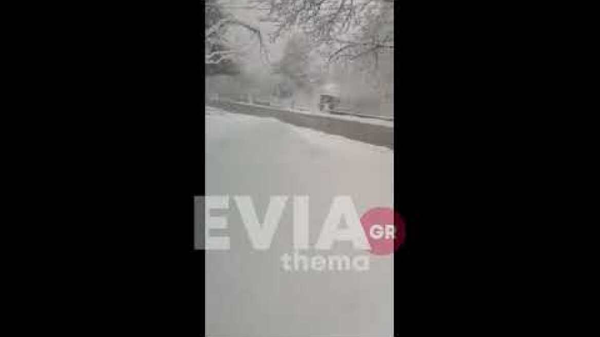 Eviathema.gr - Χιονόπτωση στο Άγιο Δήμου Διρφύων Μεσσαπίων