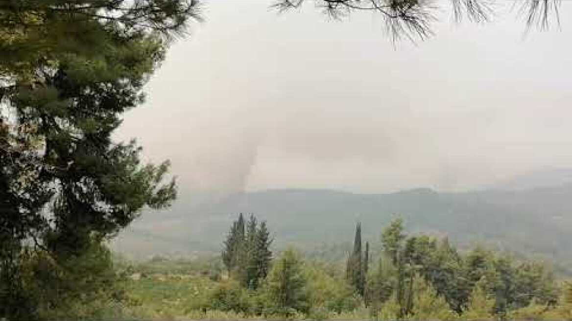 Πύρινο μέτωπο στην Βόρεια Εύβοια