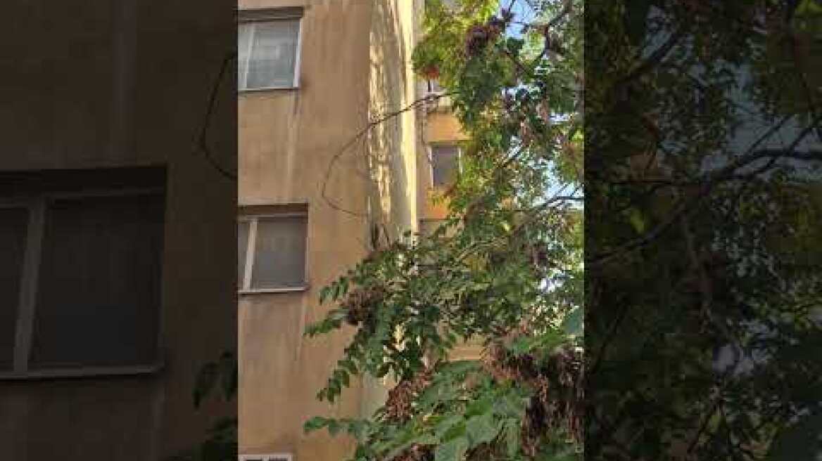 Θεσσαλονίκη: Πτώση 13χρονης από τον 5ο όροφο ξενοδοχείου - Αναζητούνται δύο άνδρες