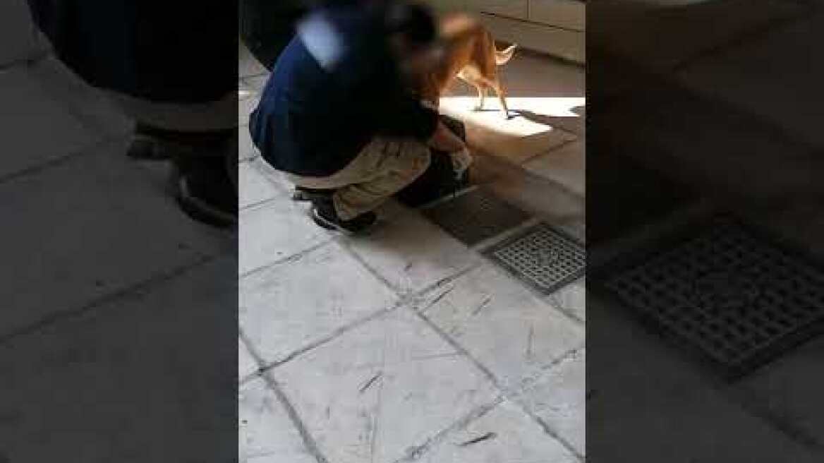 Ειδική δράση στην πλατεία Εξαρχείων για την αντιμετώπιση της διακίνησης ναρκωτικών ουσιών