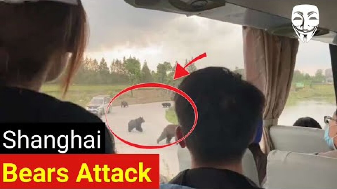 Zookeeper in Shanghai mauled to death by bears